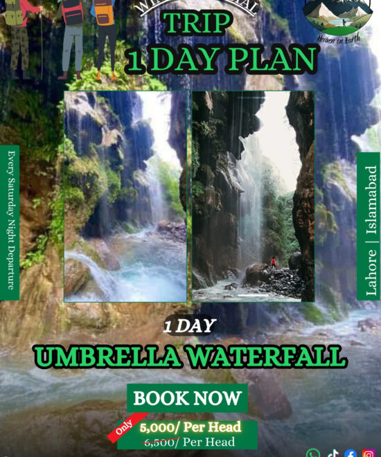 One Day Trip To Umbrella Waterfall